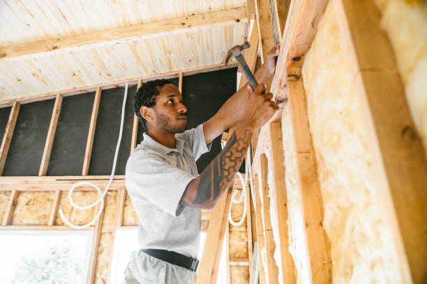 Best Insulation for Existing Homes  in Green Springs, OH